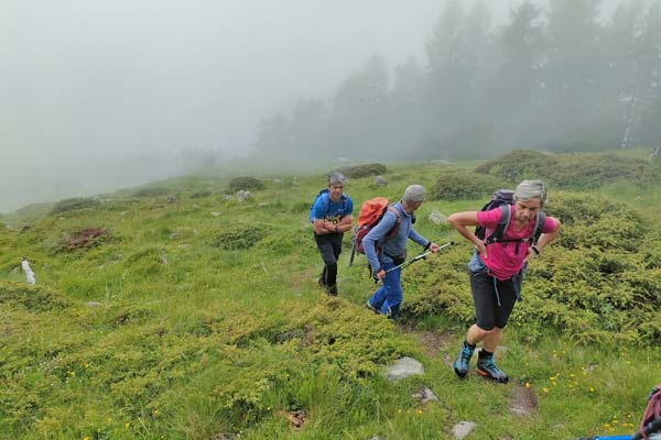 IMG20230614110635 600JPG