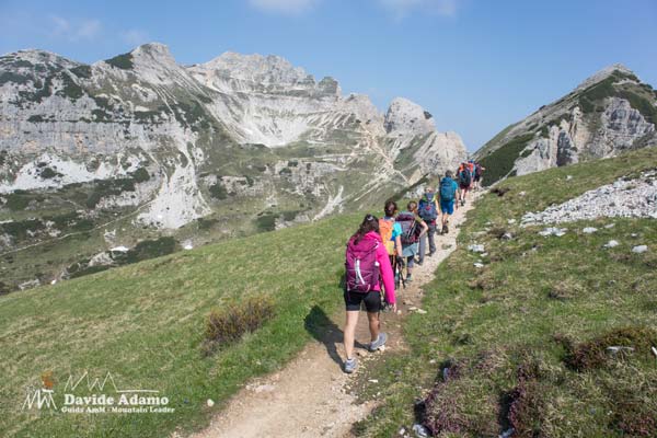 23 06 Carega 5420 600JPG