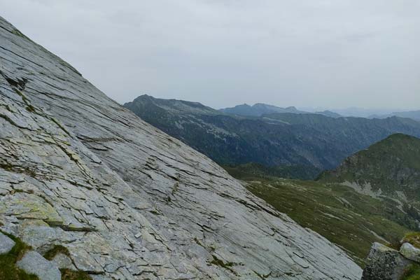 IMG20230621115016 600JPG