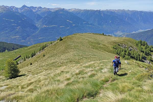 IMG20230624110447 600JPG