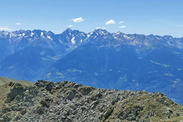 IMG20230624120212 600JPG