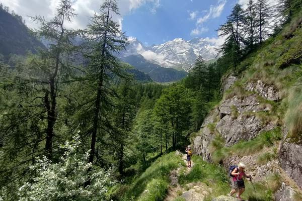 IMG20230625154202 600JPG