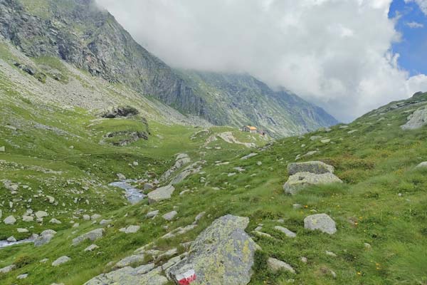 IMG20230702143843 600JPG