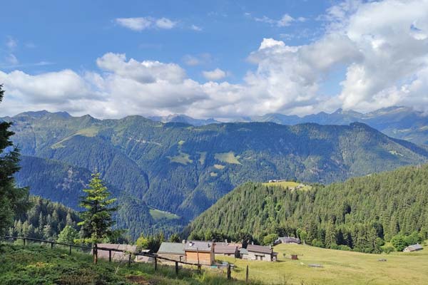 IMG20230705095804 600JPG