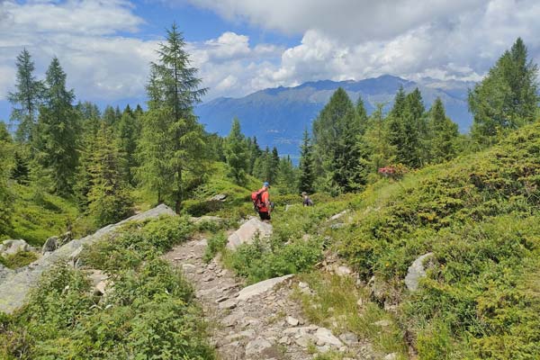 IMG20230705135907 600JPG