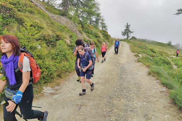 IMG20230708093512 600jpg