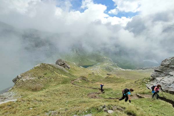 IMG20230708113503 600JPG