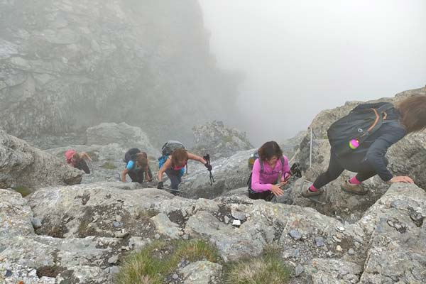 IMG20230708114710 600JPG