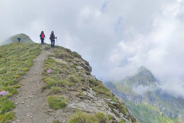 IMG20230708135117 600JPG