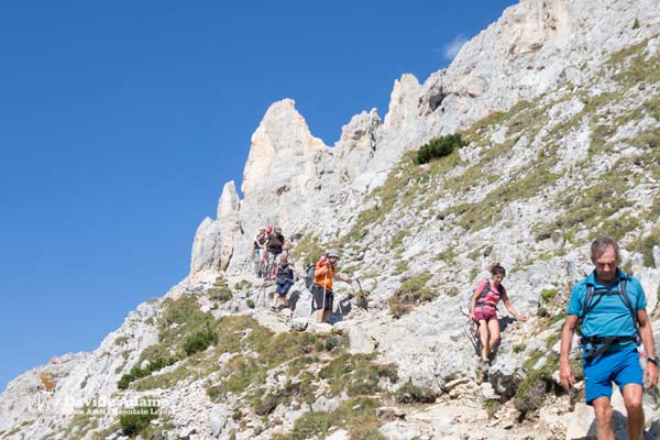 23 08 PaleLagorai 6806 600JPG