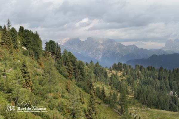 23 08 PaleLagorai 6981 600JPG