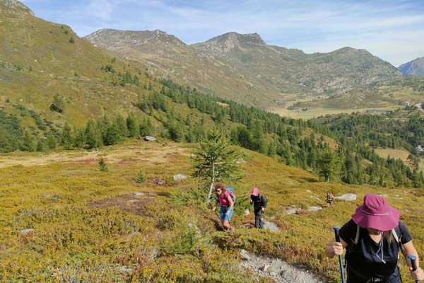 IMG20230903102818 600JPG