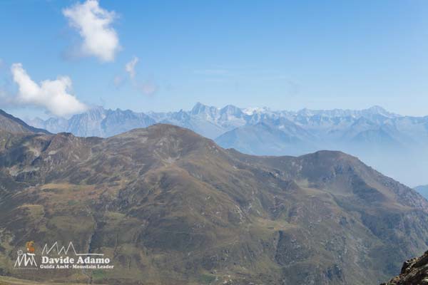 23 09 Tagliaferri 7047 600JPG