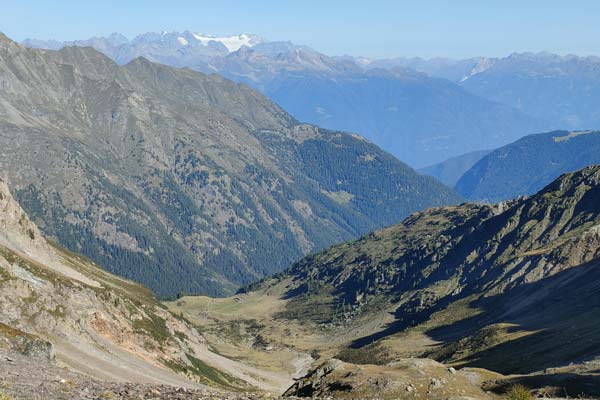 IMG20230910101101 600JPG