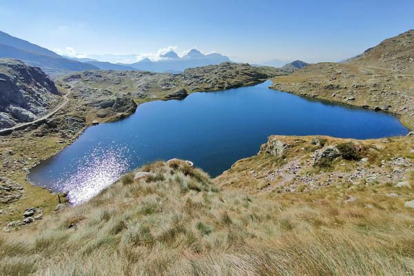 IMG20230910110212 600JPG