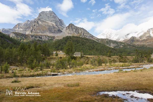 23 09 FarelloVeglia 7076 600JPG