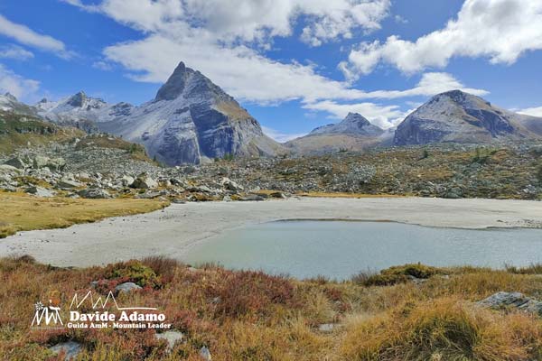 IMG20230923121419 600JPG