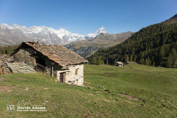 23 09 Cheneil 7111 600JPG