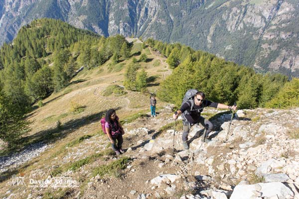 23 09 Cheneil 7115 600JPG