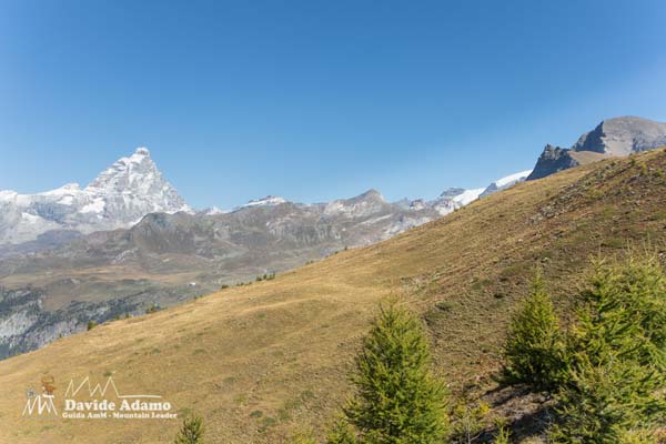 23 09 Cheneil 7123 600JPG