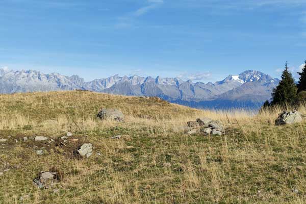 IMG20230930110609 600JPG