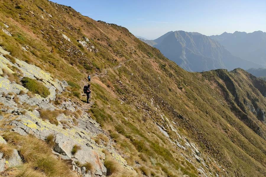 IMG20231008104519 900JPG