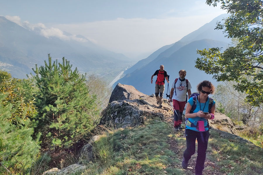 IMG20231014111342 900JPG