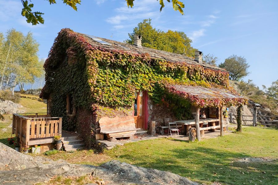 IMG20231014114902 900JPG