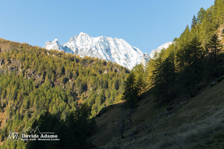 23 10 Devero 7296 900JPG