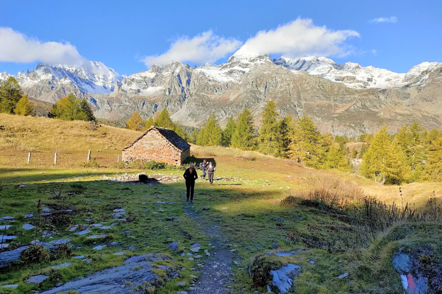 IMG20231022104721 900JPG