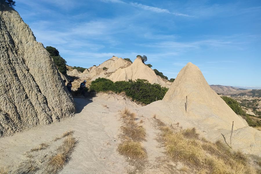 IMG20231030140333 900JPG