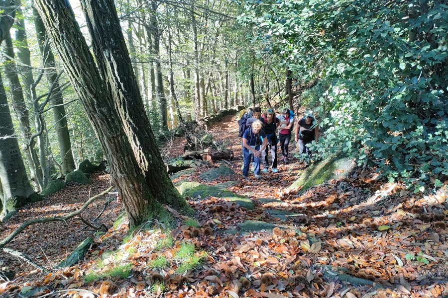 IMG20231105110307 900JPG