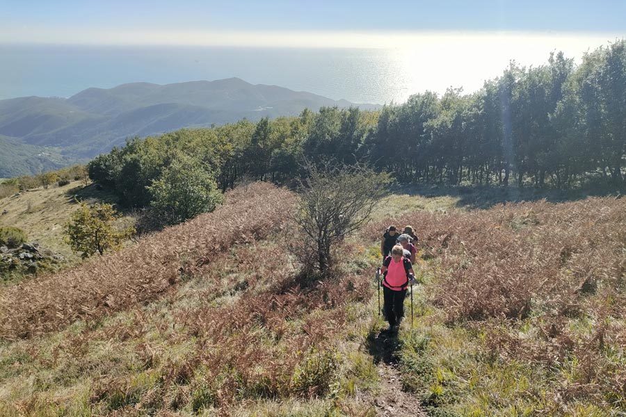 IMG20231105114037 900JPG