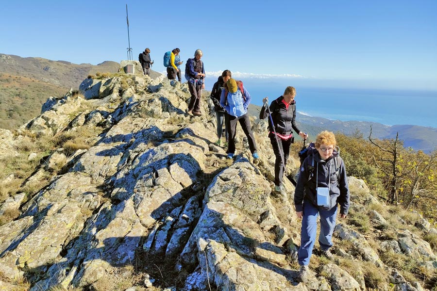 IMG20231105125641 900JPG