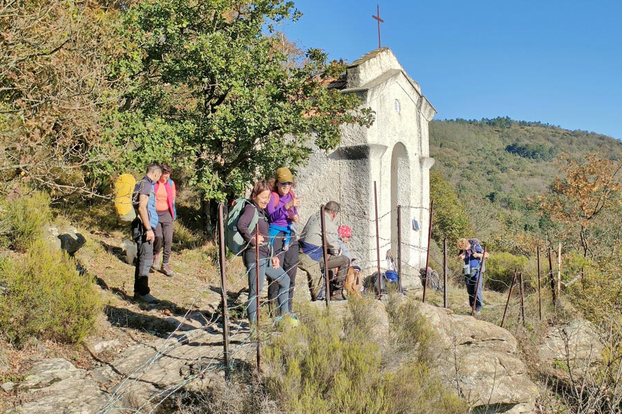 IMG20231105141644 900JPG