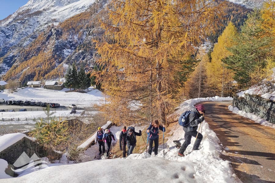 IMG20231111101105 900JPG