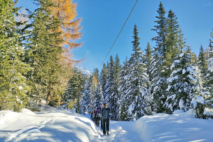 IMG20231111112422 900JPG