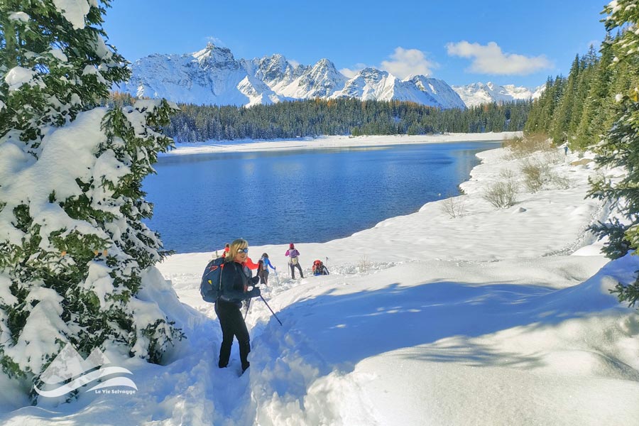 IMG20231111122702 900JPG