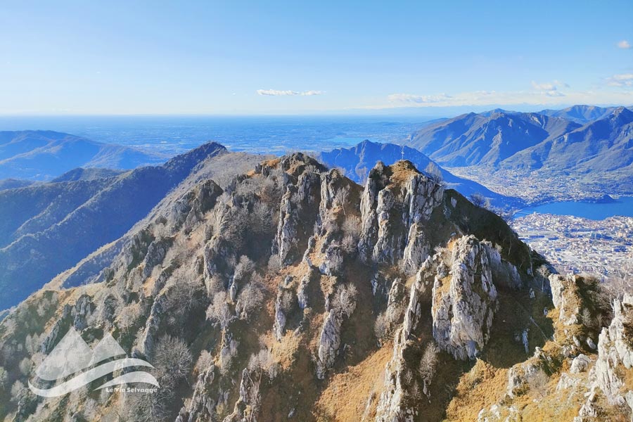 IMG20231125130014 900JPG