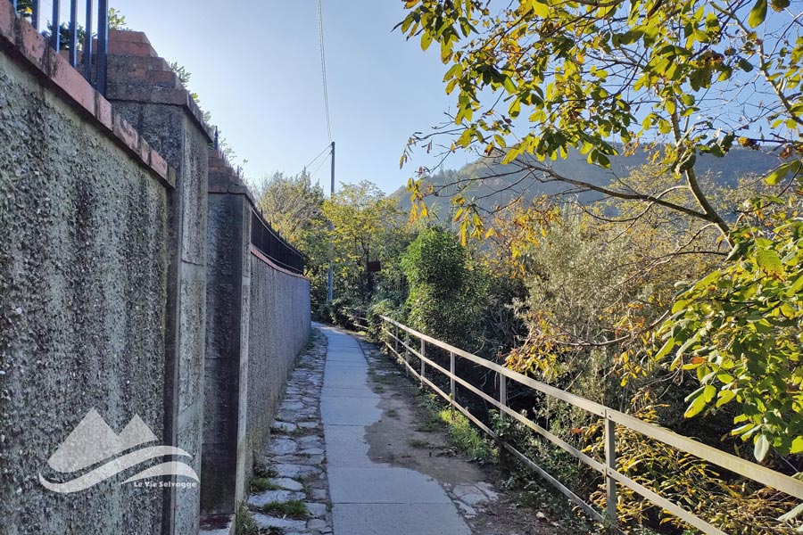 IMG20231126094659 900JPG