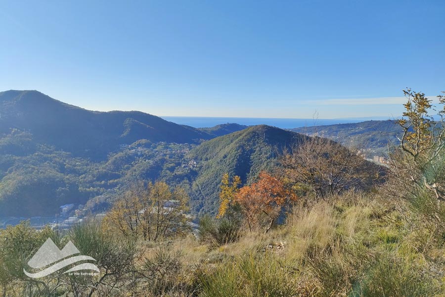 IMG20231126110028 900JPG