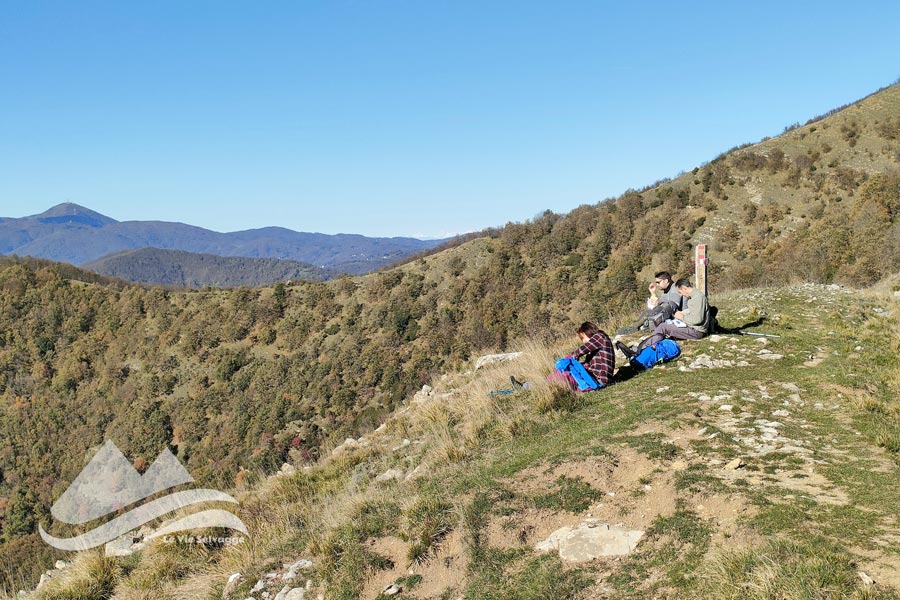 IMG20231126122100 900JPG