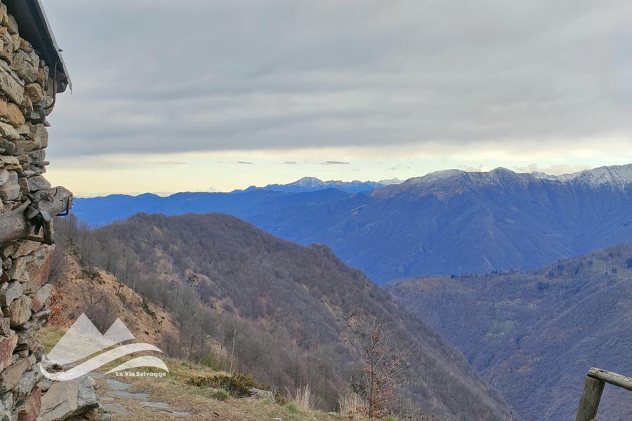 IMG20231202104506 900JPG