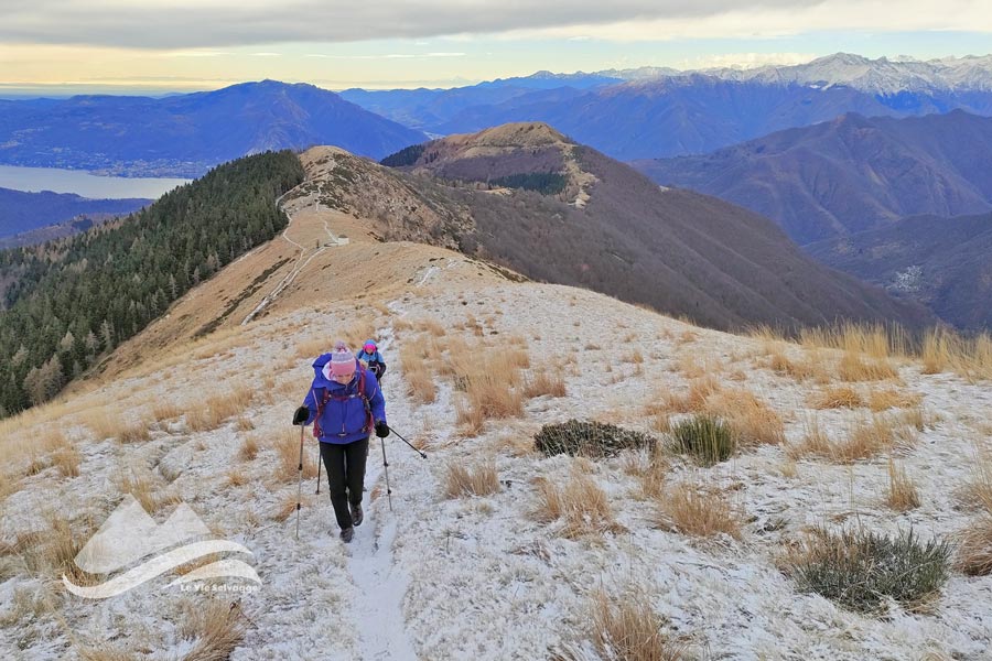 IMG20231202115523 900JPG