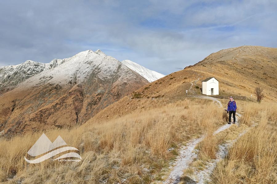 IMG20231202130320 900JPG