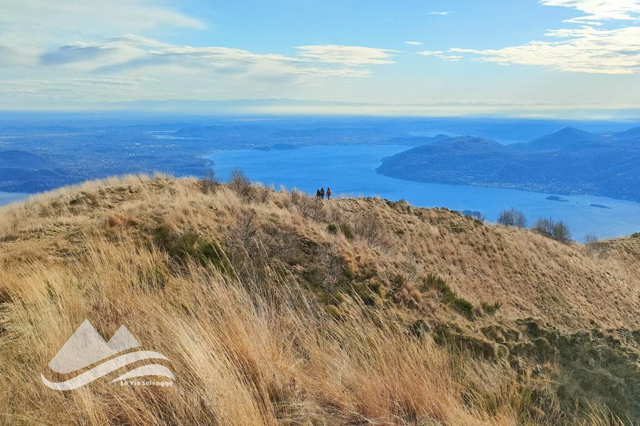 IMG20231202140115 900JPG