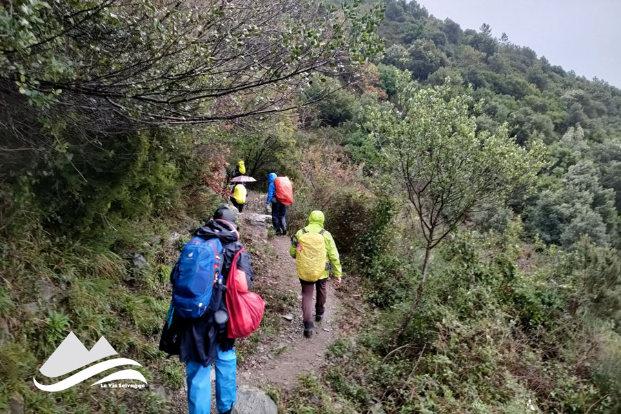 IMG20231208140609 900