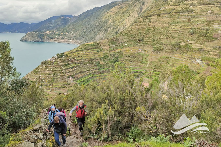 IMG20231209141508 900