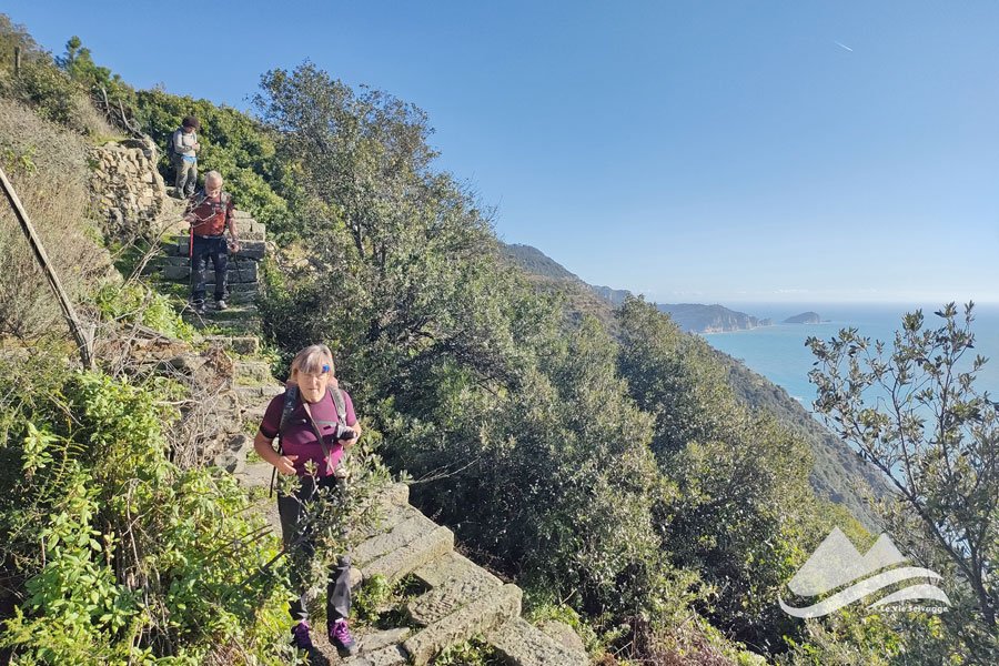 IMG20231210123603 900