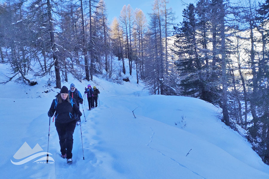 IMG20231216101559 BURST006 900